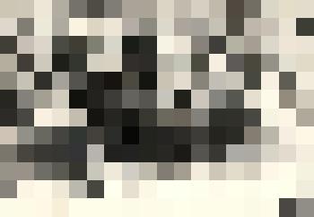 Фото Н.А. Тарасов сотрудник Шипуновской милиции на фронте с боевыми товарищами, 1944-1945 г