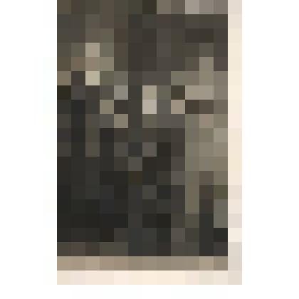 Фк/чб. Семья поволжских немцев. Фот. Г. Лидер. г. Баронск (Екатериненштадт). 1916