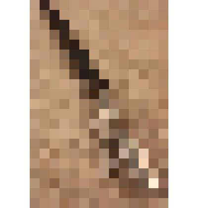 Нож столовый, из коллекции бытовых вещей семьи Бугаенко Павла Андреевича, профессора филологического факультета Саратовского государственного университета