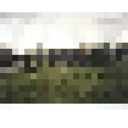 Ф/цв. Музейный проект "Половецкий стан": стрельба из лука перед зрителями. 2000