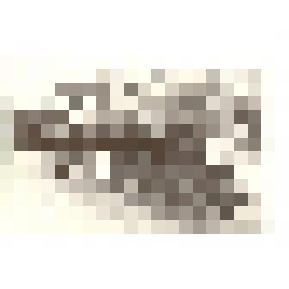 Фотография. Демонстрация 7 ноября 1967 года в г.Камне-на-Оби Алтайского края