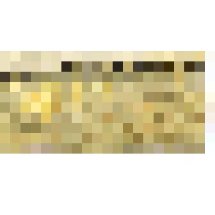 Этюд. Желтые березки