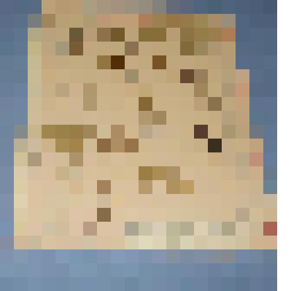 Ботаническая коллекция. Водосбор сибирский, семейство лютиковые, на гербарном листе, станция Сон, гора на востоке. Ranunculaceae Aguiledia sibirica Z