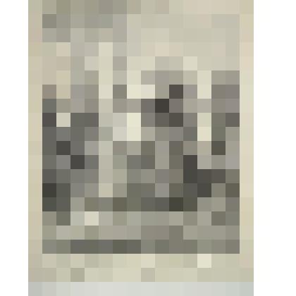 Вид Итальянского (Французского) фонтана в Нижнем саду Петергофа