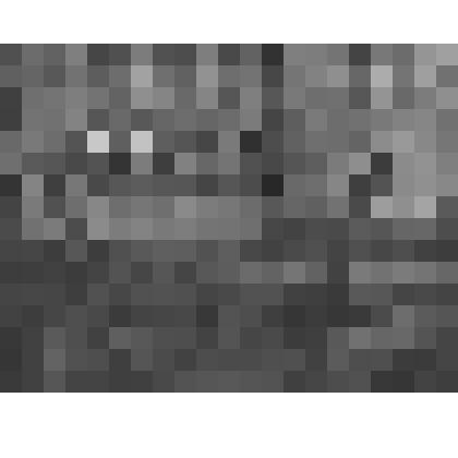 Петергоф. Александрия. Секретарь горсовета Петергофа Козловский с группой матросов Балтийского флота на лестнице Нижнего дворца