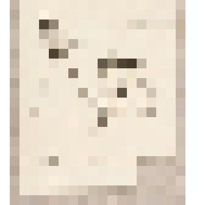 Карикатура, из альбома  «190 пейзажей; зарисовки, иллюстрации, карикатуры»