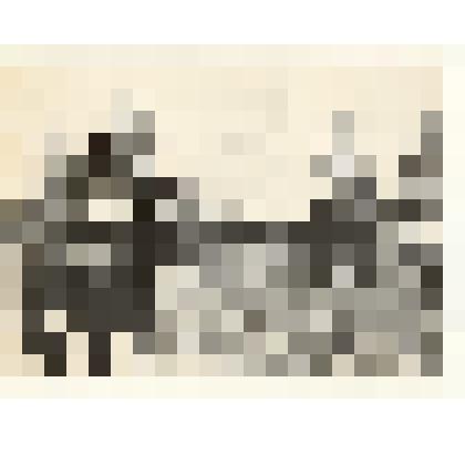 Фотография: скотник Восточного отделения совхоза Долганский Александр Худяков выгоняет стадо после обеденной дойки на выпаса