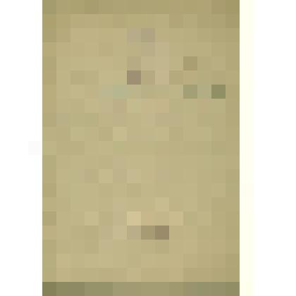 Документы  периода  становления  Сольвычегодского  музея