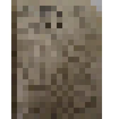 газета. "Огни коммунизма"