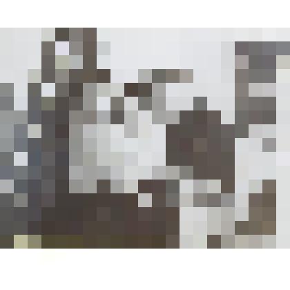 Фотография сюжетная. Вручение комсомольских значков и билетов