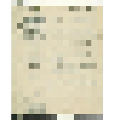 Подшивка документов Сольвычегодского свечного отделения