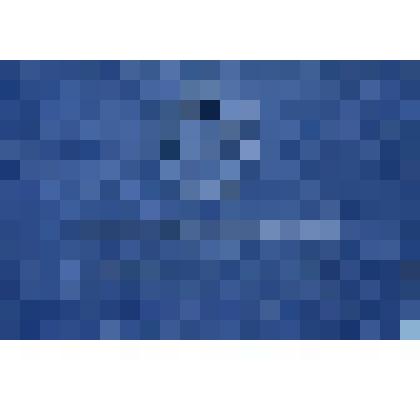 Диплом Шипиловой Александры Васильевны