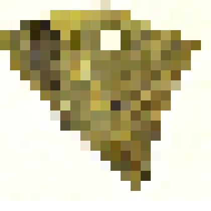 Rhachiphyllum retensorium (Zal.) Naug