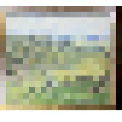 Живопись. Картина "Пастухи едут на смену"