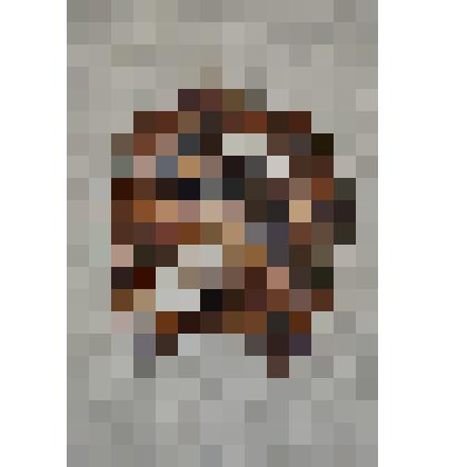 Настенное панно "Подкова с головой лошади"