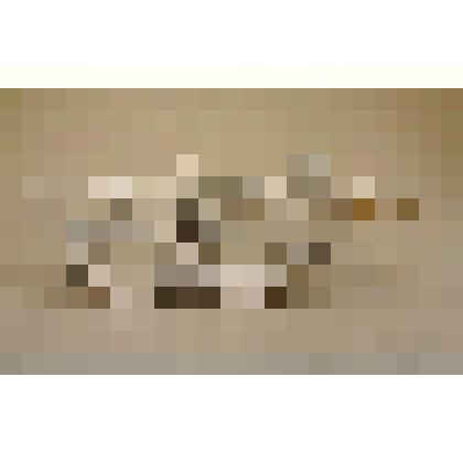 Скульптура "Пловчиха"