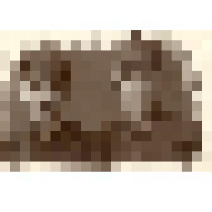 Фотография коричневого цвета. Изображение погрудное. Двое юношей в красноармейских – буденовках и гимнастерках. Справа- Тризна Иван Юлианович, участник ВОВ, 1917 г.р., работал в паровозном депо нормировщиком. Погиб под Ораниенбаумом в 1941 году (пропал бе