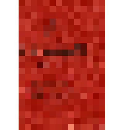 Документ. Членский билет А № 117265 члена ДОСААФ Ширенко Константина Ивановича. Выдан 27 марта 1953 г. Иыхвинским райкомом Досарма Эстонской ССР