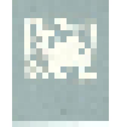 Образец для вышивки. Цветок