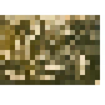 Фотография. Пятый класс школы №2 в районе з/да "Восстание"