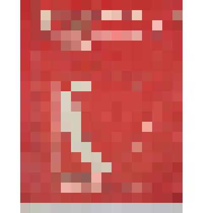 Брошюра "Государство и право, Отечественность в управлении, знание налог в жизни, науке, технике" И. Л. Бачило, Е. В. Шорина