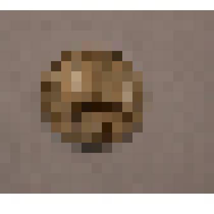 Монета. 10 копеек