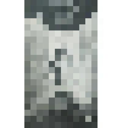 литография. Конец. Иллюстрация к роману Салтыкова- Щедрина "Господа Головлёвы". Лист 10