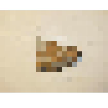 Изразец. Фрагмент