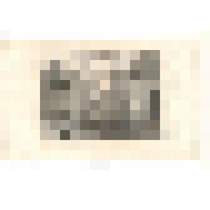 Гравюра. С работы Делена