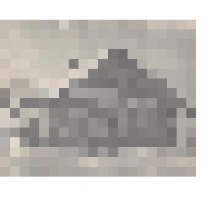 Фотография. Дом сказительницы Марфы Семёновны Крюковой. Дер. Верхняя Золотица