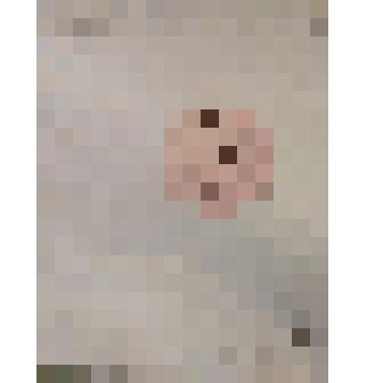 Грампластинка "П. Мориа"