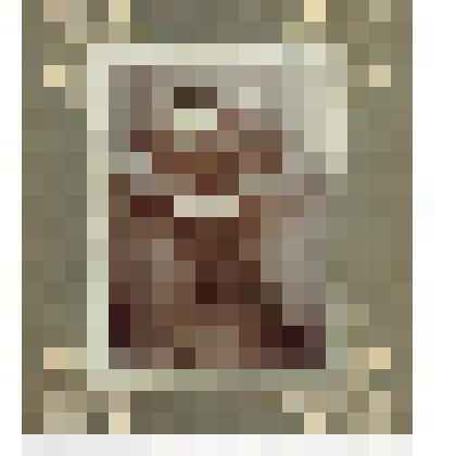 Фото: «Эмилия Филипповна Бир (стоит справа) с подругами»