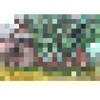 Сибилева Ксения Александровна " Дом академиков Рубцовых"