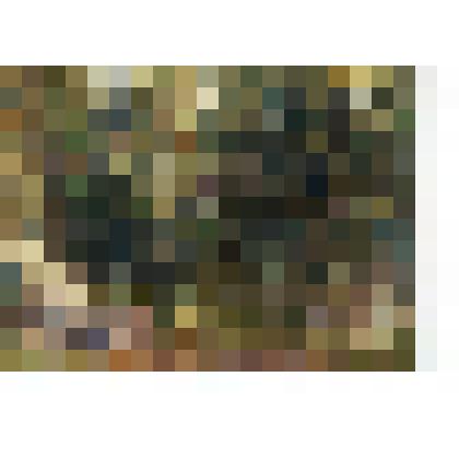 Эвакопалатки ППГ-559. Этюд