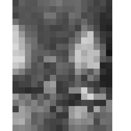 Большой дворец. Диванная. Вид на северную стену