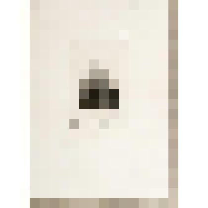 Портрет М.Т. Лорис-Меликова (1825 - 1888)