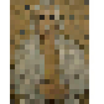 Автопортрет