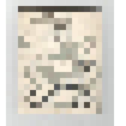 Книги. Книга "Птицы с яркими глазами". - М.: "Молодая гвардия", 1975