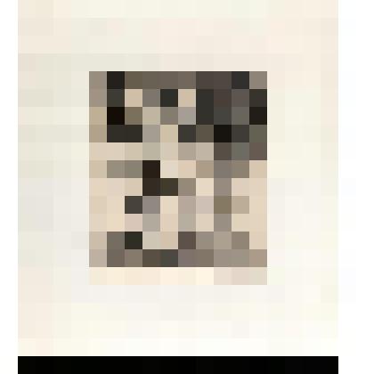 Офорт. Созвездие Лев (Из серии "Знаки Зодиака")