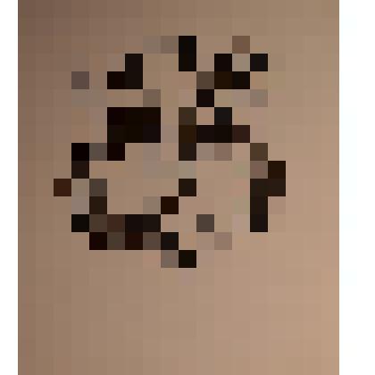 Exlibris Viktoro Vekalaio