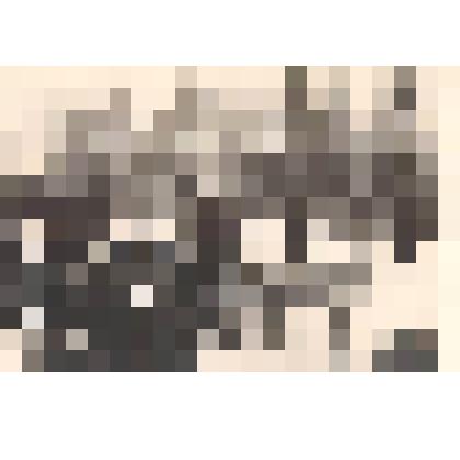 Фотография. Празднование русской зимы