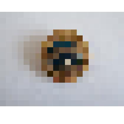 Значок "Телецкое озеро"