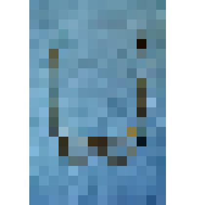 Очки в роговой оправе, принадлежали Л.А. Кассилю (1905—1970 гг.) — русский советский писатель, сценарист, член-корреспондент АПН СССР (1965 г.), лауреат Сталинской премии третьей степени (1951 г.)