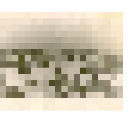 Фотография: вид г.Камень-на-Оби Алтайского края с ж/д моста через реку Обь