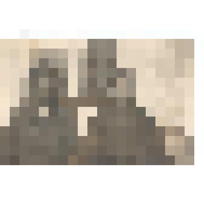 Ф/чб. Поволжские немцы-колонисты (типовой портрет 2-х мужчин около дома). 1920-е. /Экспедиция Г. Дингеса