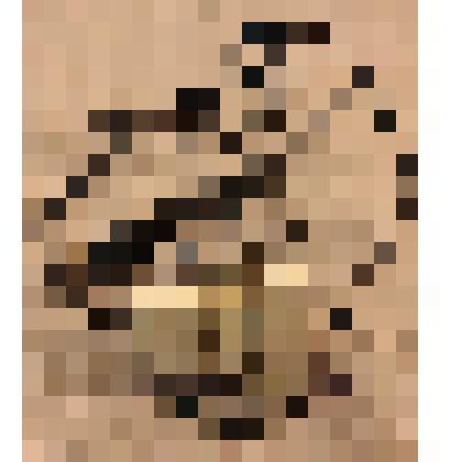 Микрофон МД-201 к магнитофону переносному «Весна-202-1», из коллекции бытовых вещей семьи Бугаенко Павла Андреевича, профессора филологического факультета Саратовского государственного университета