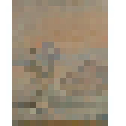 Сумерки. Картина