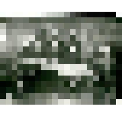 Фотокопия. Участники Сибиряковской экспедиции 1894-1896 г.г