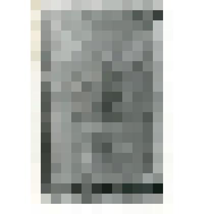 Фотография. Надпись на памятнике И.Д. Черскому в с. Колымском, Нижнеколымского р-на