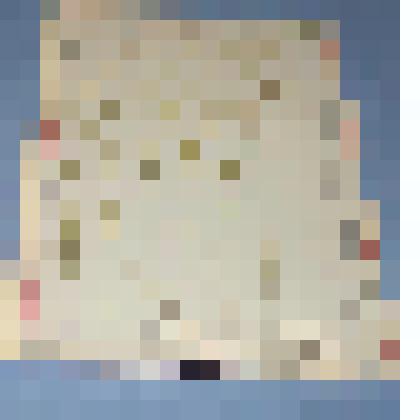 Ботаническая коллекция. Истод обыкновенный, на гербарном листе, окрестности села Таштып. Polugaceae Polugala Vulgaris Z